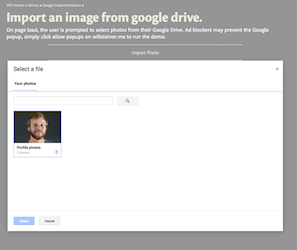 Will Steiner - Implementations and Package Development - Google Drive